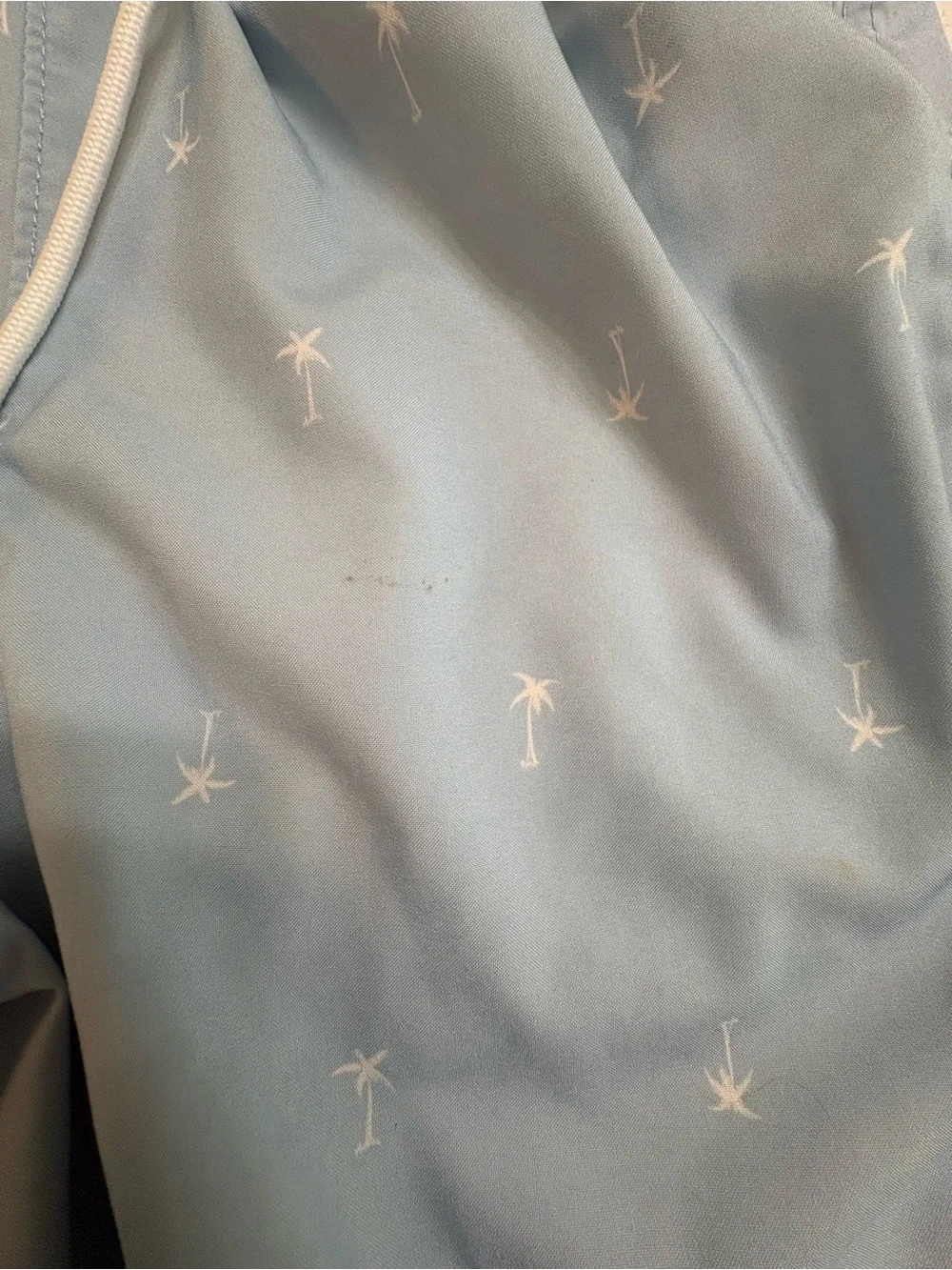 Hollister light blue